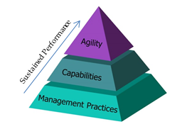 agility-pyramid